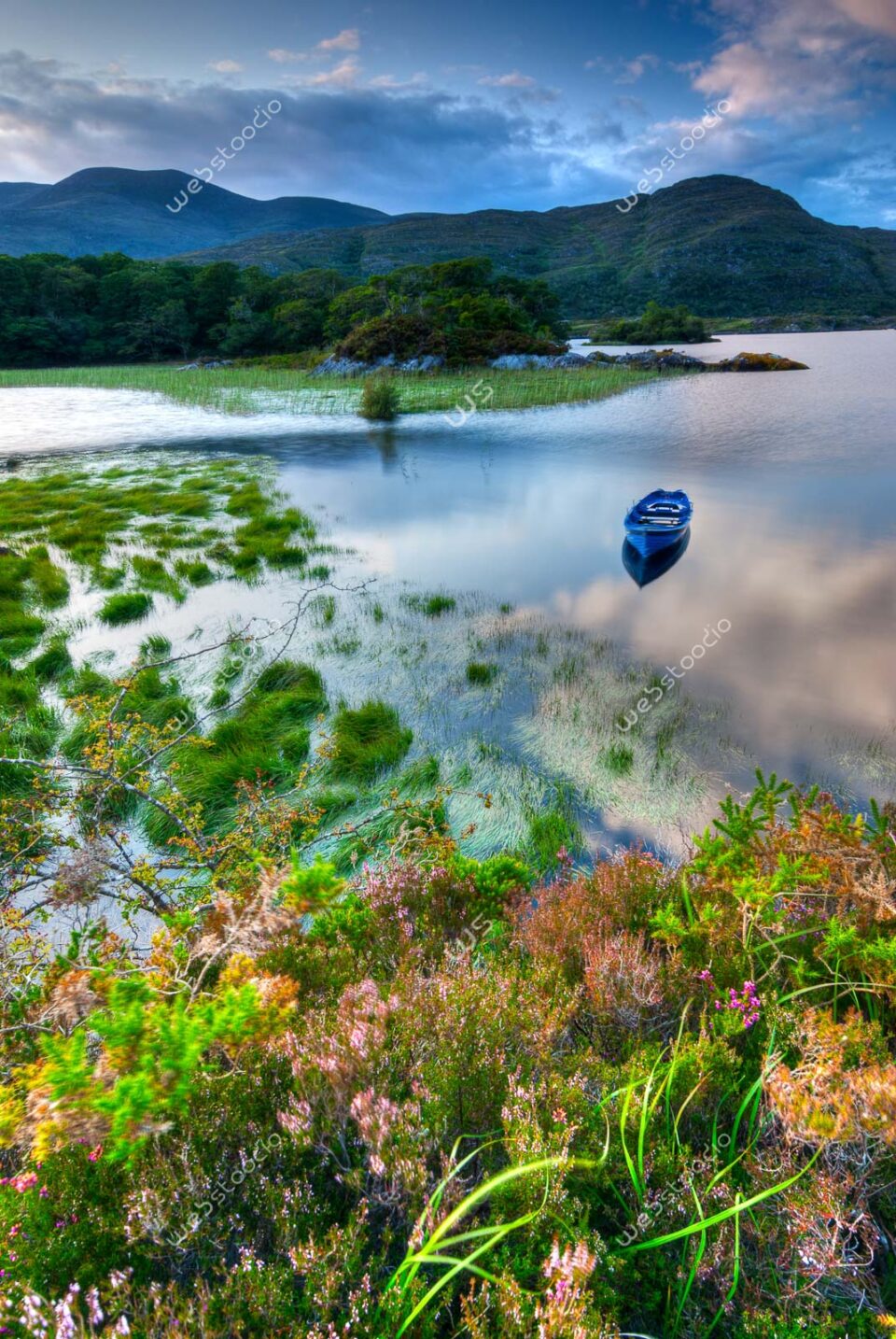 webstoodio | Zdjęcia krajobrazowe | Łódki na jeziorze Muckross Lake w Parku Narodowym Killarney, Irlandia