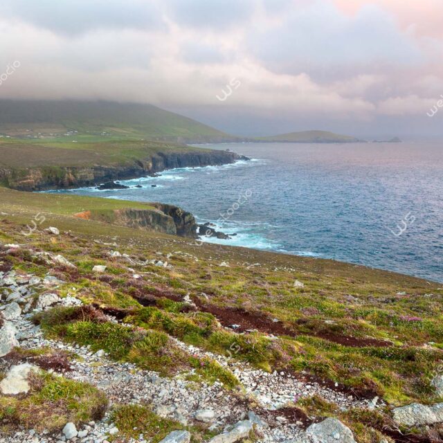 webstoodio | Zdjęcia krajobrazowe | Panorama przylądka Slea Head na półwyspie Dingle, Irlandia